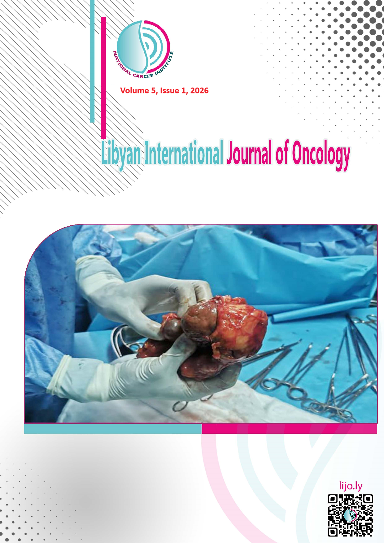 					View Volume 5, Issue 1, 2026
				